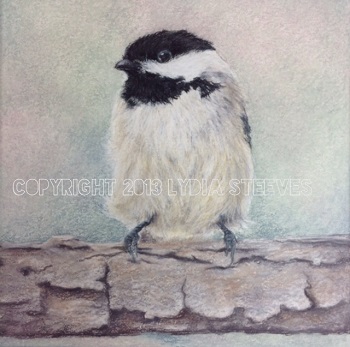 Chickadee Study CP e-Packet